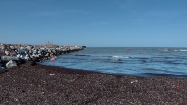 Загрязненное побережье у моря — стоковое видео