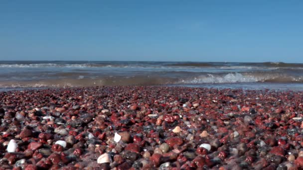Πλαστικό μπουκάλι στις μολυσμένες ακτές δίπλα στη θάλασσα — Αρχείο Βίντεο