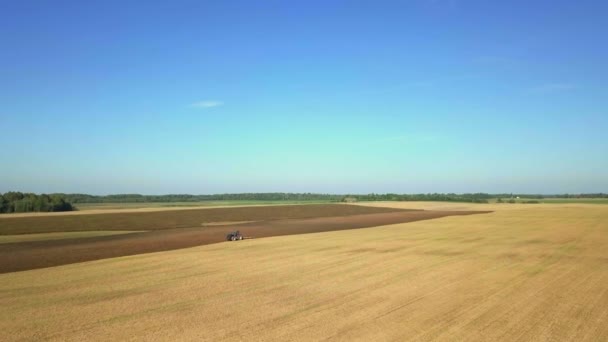 Traktor auf dem Feld — Stockvideo