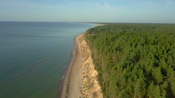 Камера проходит между морем и крутым берегом с сосновым лесом — стоковое видео