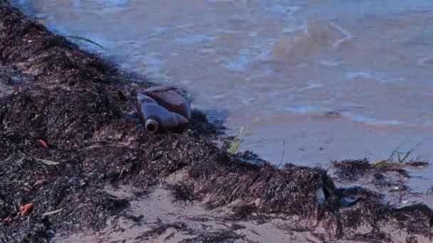 Bottiglia di plastica sulla costa inquinata vicino al mare — Video Stock