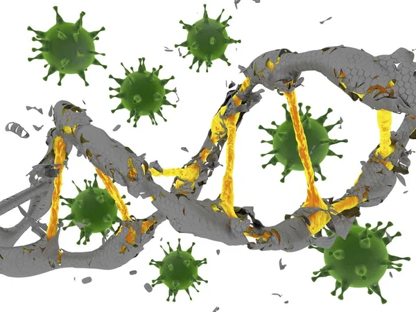Wirusy z Dna na białym — Zdjęcie stockowe