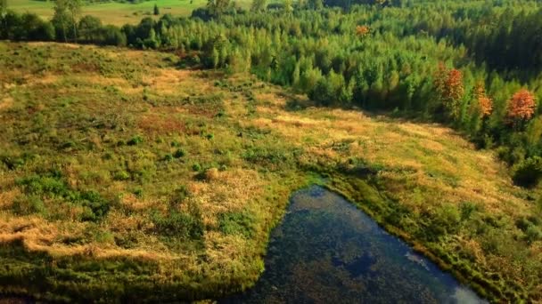 Macchina fotografica che scende sul campo con laghetto — Video Stock