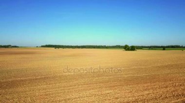 Erken sonbahar alanında kameraya