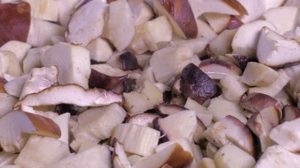 Os cogumelos começam a fritar na panela — Vídeo de Stock