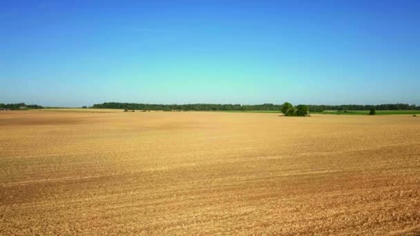 Macchina fotografica sul campo all'inizio dell'autunno — Video Stock