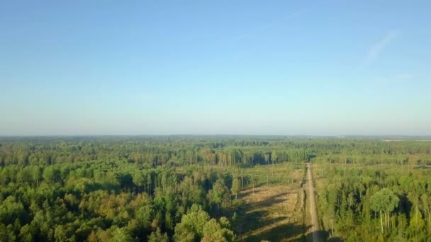 Камера летит над лесом — стоковое видео