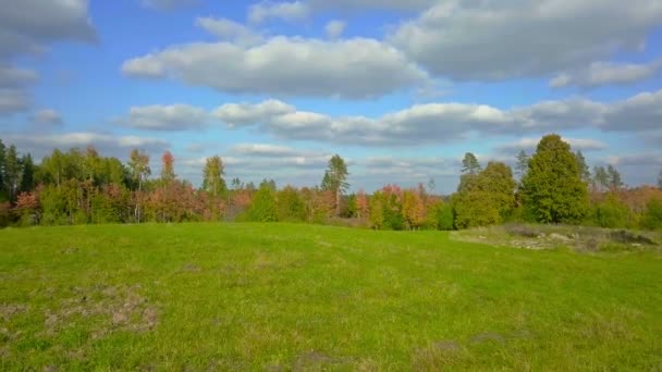 秋の木近くの牧草地を行くカメラ — ストック動画