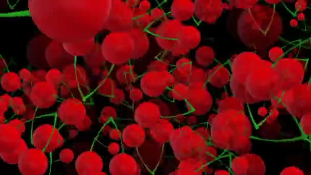 Cerejas rotativas em vermelho no preto — Vídeo de Stock