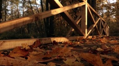 Güneş ışınları ile sonbaharda ahşap köprü