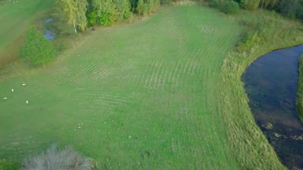 Panorama z polí, stromy a jezírko — Stock video