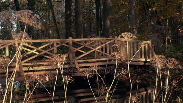 Otoño Vista Naturaleza Con Puente Madera — Vídeos de Stock