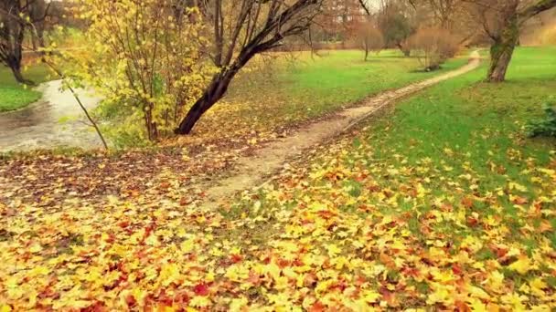 Nehri Yakınında Sonbahar Çayır Üzerinde Uçan Kamera — Stok video