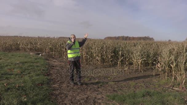 Landwirt Auf Dem Beschädigten Maisfeld — Stockvideo