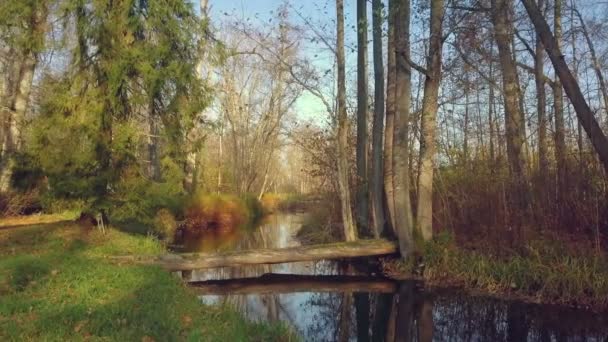 秋天有河流的风景 — 图库视频影像