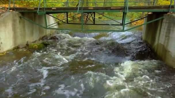 Macchina Fotografica Che Vola Sul Fiume Vicino Ponte — Video Stock