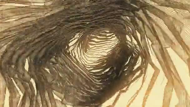 Абстрактний Тунель Дроту — стокове відео