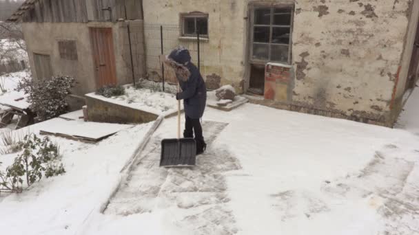 Женщина Снежной Лопатой Очищает Двор Возле Старого Амбара — стоковое видео