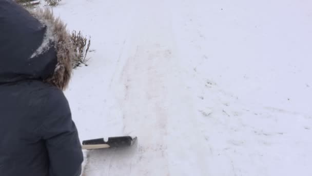 Vrouw Met Sneeuw Shovel Duwen Weg Sneeuw — Stockvideo