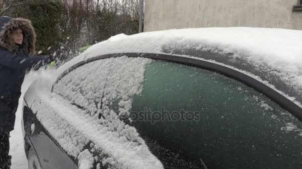 Mulher Com Escova Removendo Neve Carro Volta — Vídeo de Stock