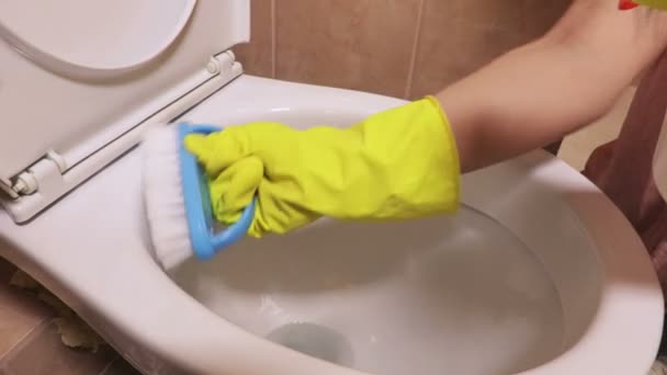 女性トイレ ボウルの洗浄ブラシとスプレーを使用して — ストック動画