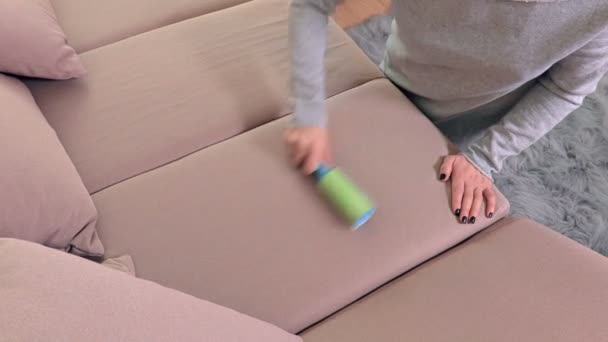 糸くずローラーが付いているソファーからほこりや毛の取り外しの女性 — ストック動画