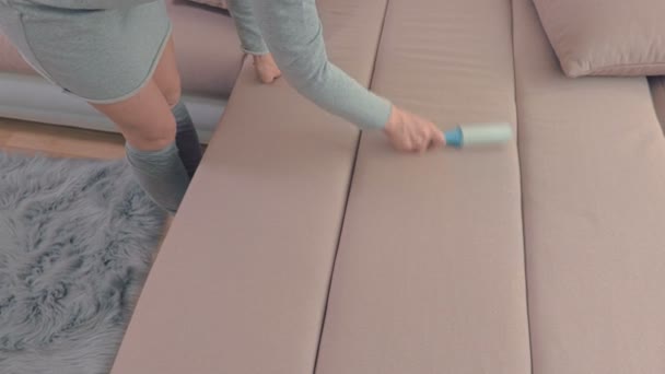Mulher Limpa Sofá Com Rolo Fiapos — Vídeo de Stock