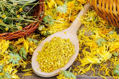 Polen kuru papatya ve calendula çevresinde