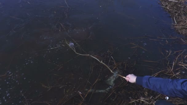 Vrouw Genieten Van Zonnige Dag Buurt Van Lake — Stockvideo