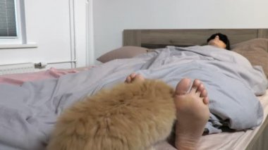 Kızıl kedi, kadın bacaklarının yanında.