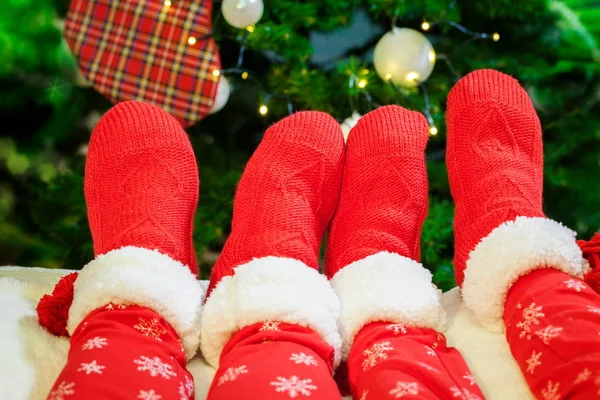 有针织红袜的家族腿在圣诞树前休息 — 图库照片