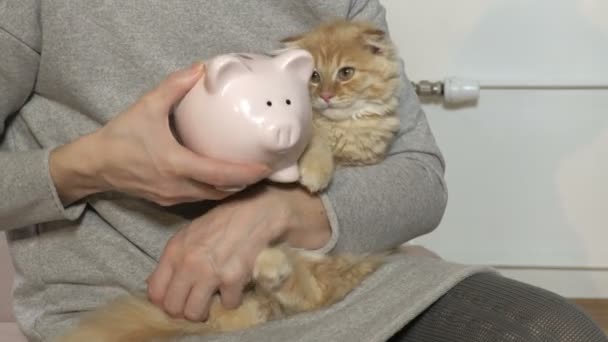 Mujer Con Una Moneda Cerdo Banco Jengibre Gato — Vídeo de stock