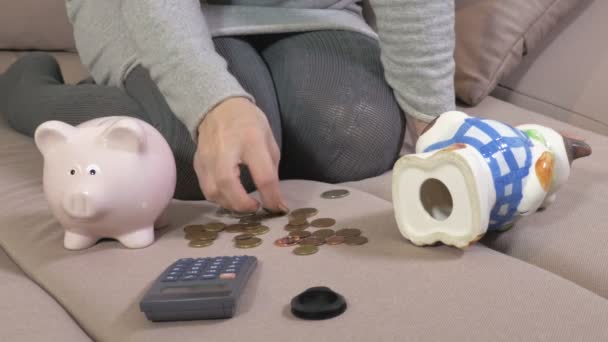 Woman Sofa Counting Coins Piggy Bank — Stock Video
