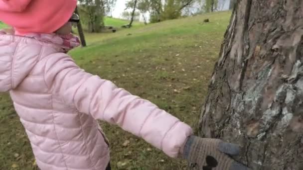 Мила Маленька Дівчинка Тримає Руку Дереві Ходить Навколо — стокове відео