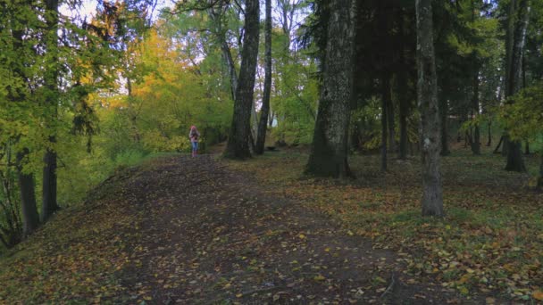 Malá Holka Běží Sama Přes Strašidelný Park — Stock video