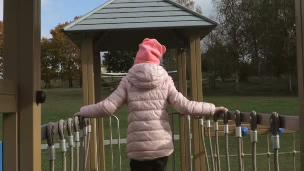 Pretty Cute Little Girl Public Playground Autumn Day — kuvapankkivideo