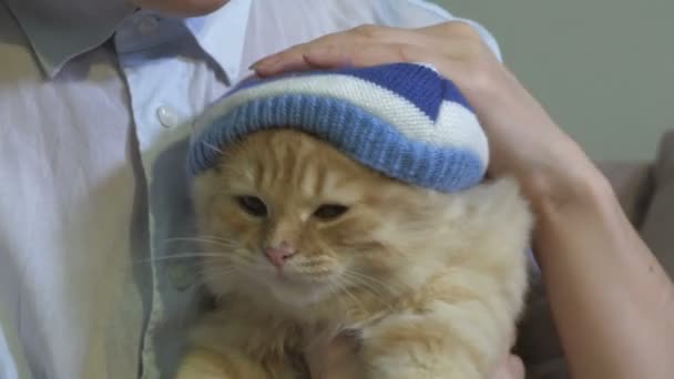 Kvinna Håller Rolig Ingefära Katt Stickad Hatt — Stockvideo