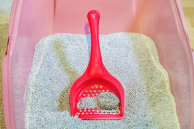 Kedi tuvaleti temizliği için kırmızı kepçe