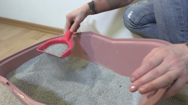 Caja Arena Para Gatos Limpieza Femenina Con Una Pala Roja — Vídeo de stock