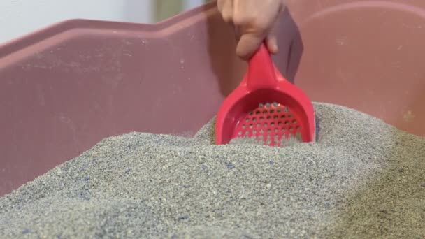 Cleaning Litter Box Close — Stock Video