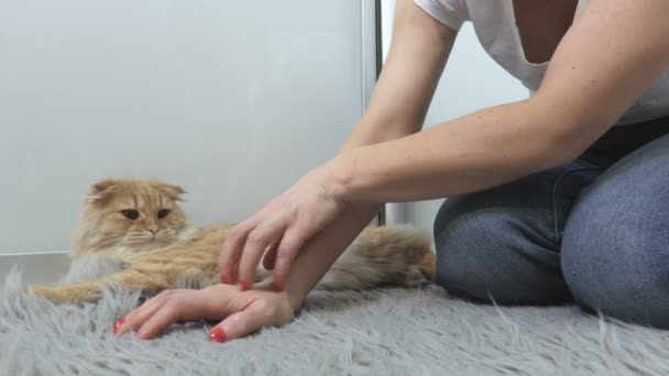Vrouw Krabben Haar Jeukende Arm Met Allergie Huiduitslag Cat Allergie — Stockvideo