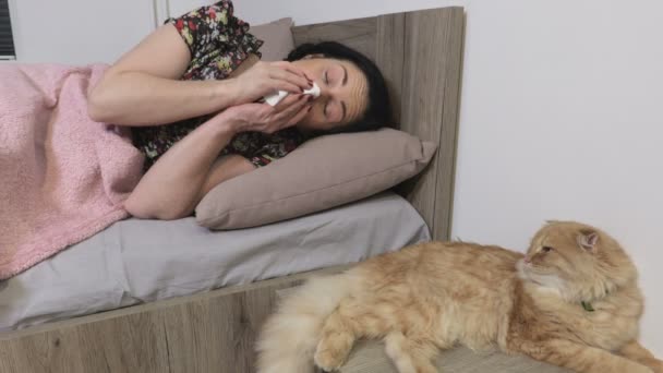 Woman Allergic Cats Sneezing Suffering Allergy Cat — Stock Video