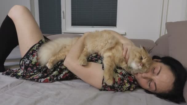 Γυναίκα Εκμετάλλευση Και Φιλιά Γάτα Απόθεμα Βίντεο — Αρχείο Βίντεο