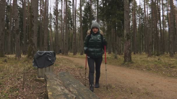 Žena Turistickými Sloupy Lesní Cestě Zdravý Životní Styl Koncept — Stock video