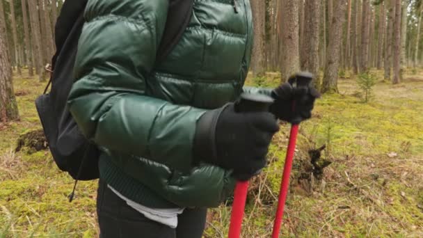 Wandelaar Vrouw Met Trekking Poles Stock Beeldmateriaal Video — Stockvideo