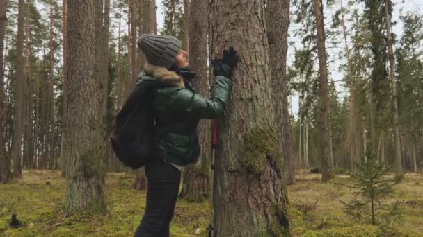 Счастливая Женщина Туристка Лесу Рюкзаком Палками Походов Возле Дерева — стоковое видео