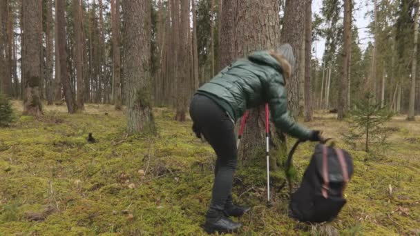 森の中でバックパックやトレッキングポールを持つスポーティ女性ハイカー — ストック動画