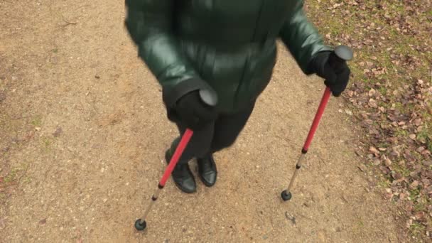 Wandelende Vrouw Met Wandelstokken Het Bos — Stockvideo