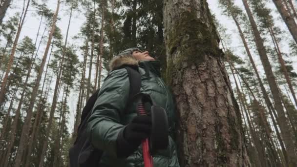 Explorador Viajante Mulher Perto Árvore Floresta — Vídeo de Stock