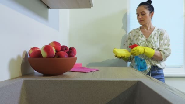 女はオーブンとクッカーを掃除し始める — ストック動画